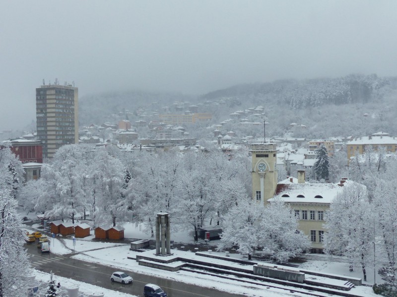 Снимка на новина 13114