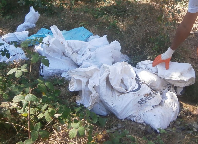 Снимка на новина 7131