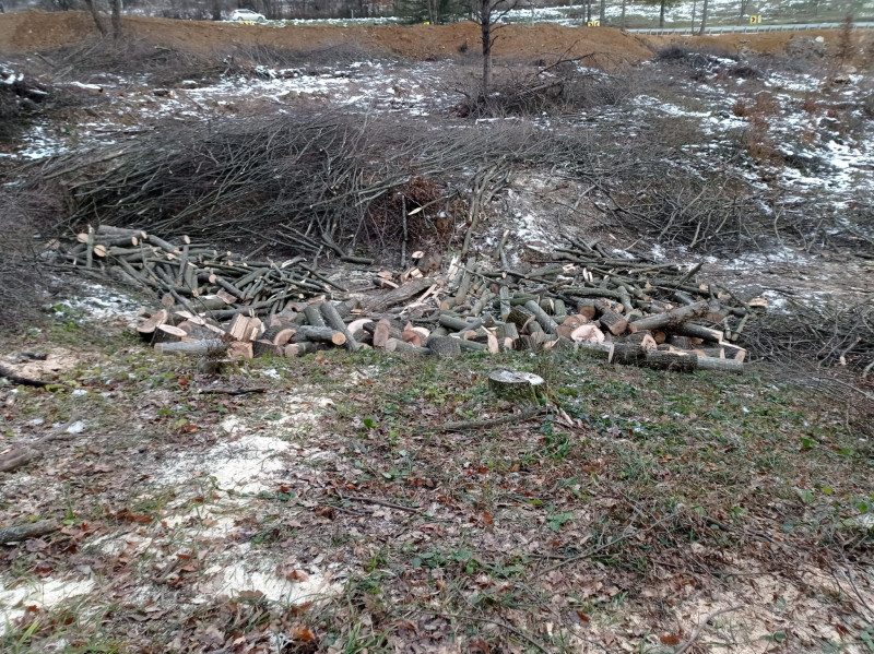 Снимка на новина 13778