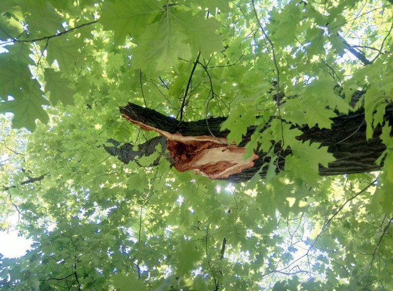 Снимка на новина 10444