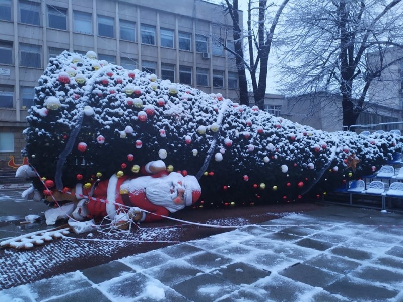 Снимка на новина 10891