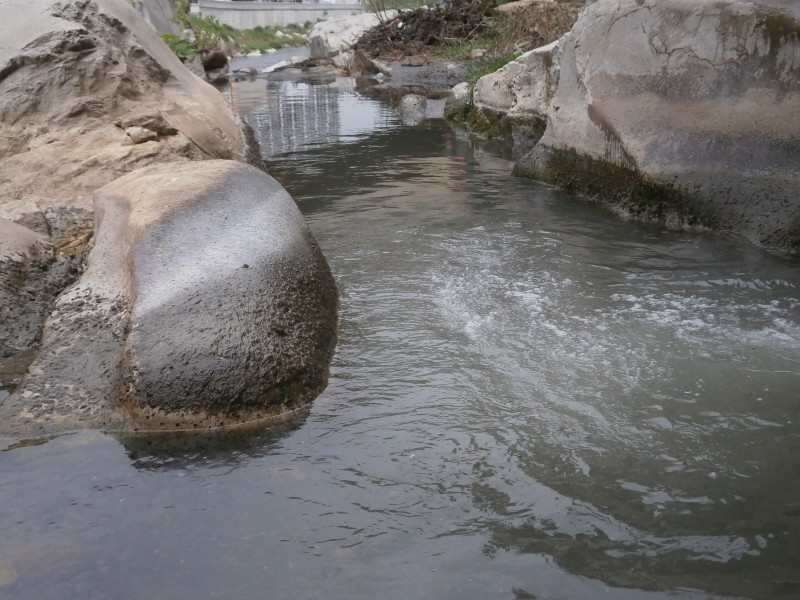 Снимка на новина 10477