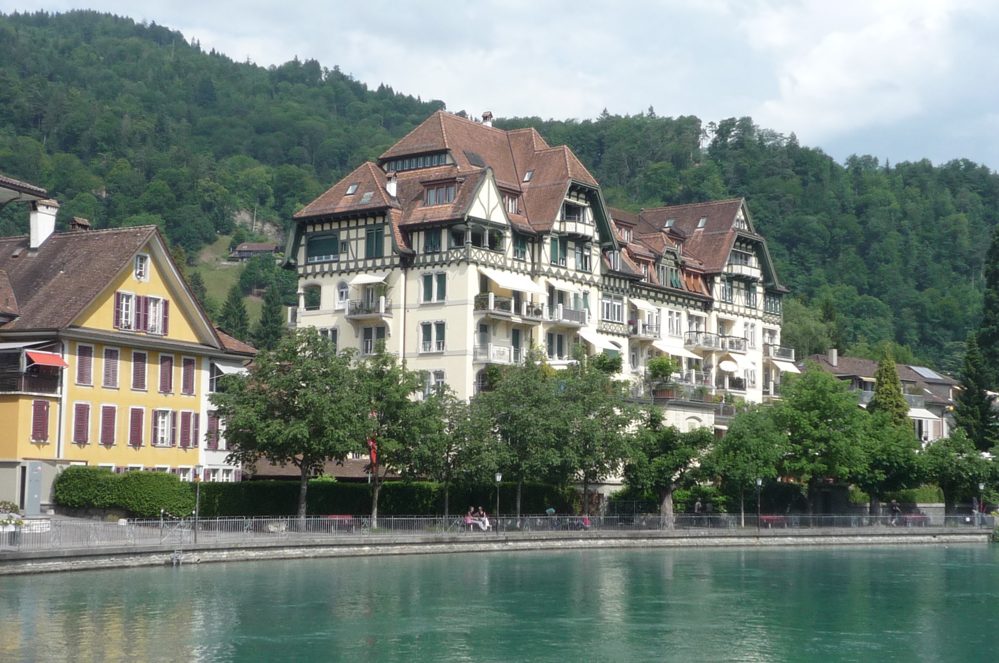 Снимка за Увеличаване на популацията от габровски котки в...