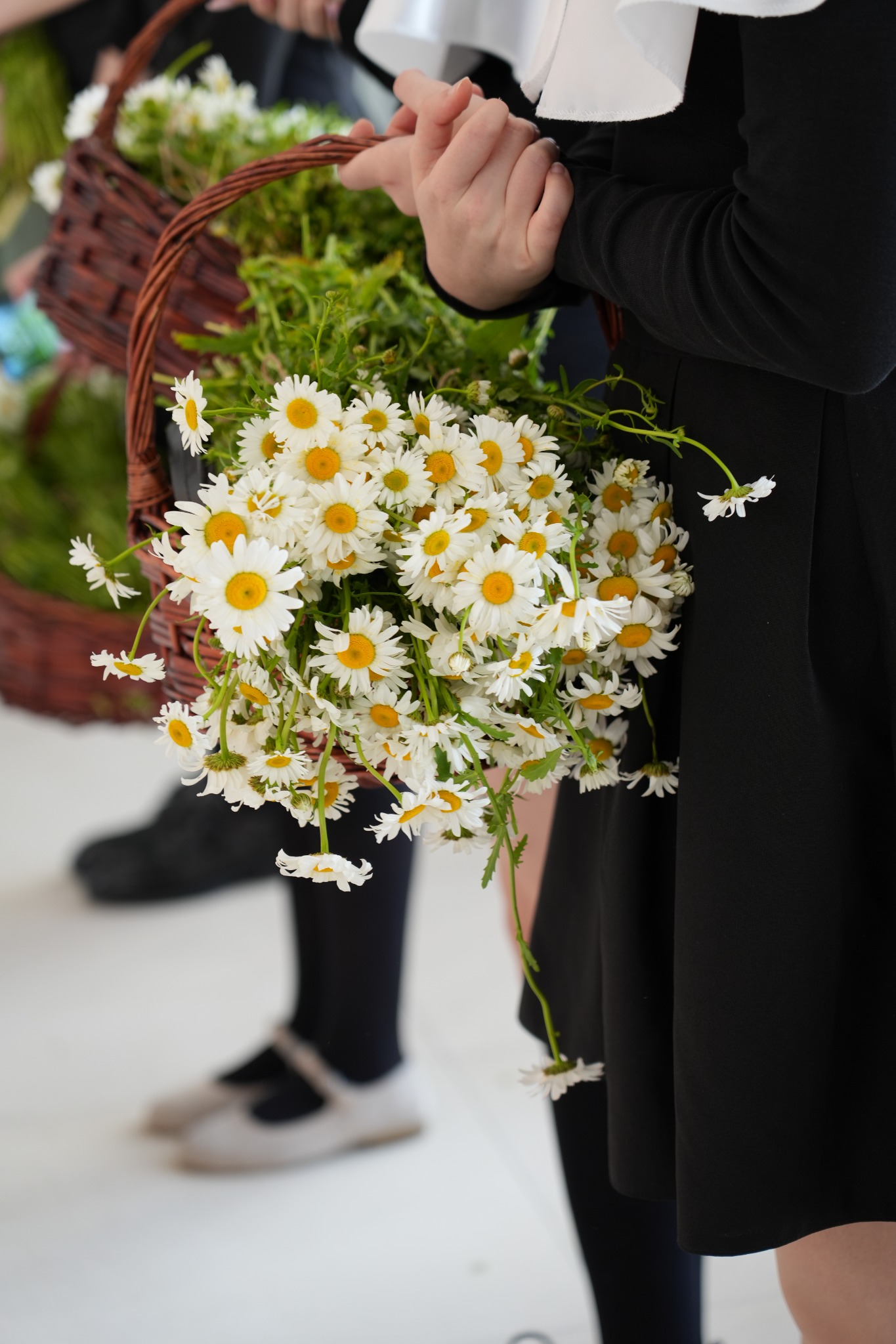 Снимка за Кутаиси, Ден на града'23