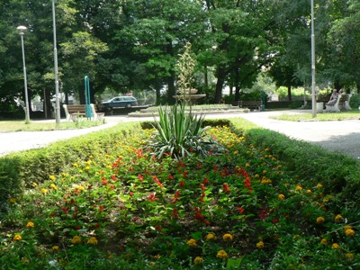 Снимка на новина 184