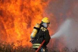 Снимка на новина 646