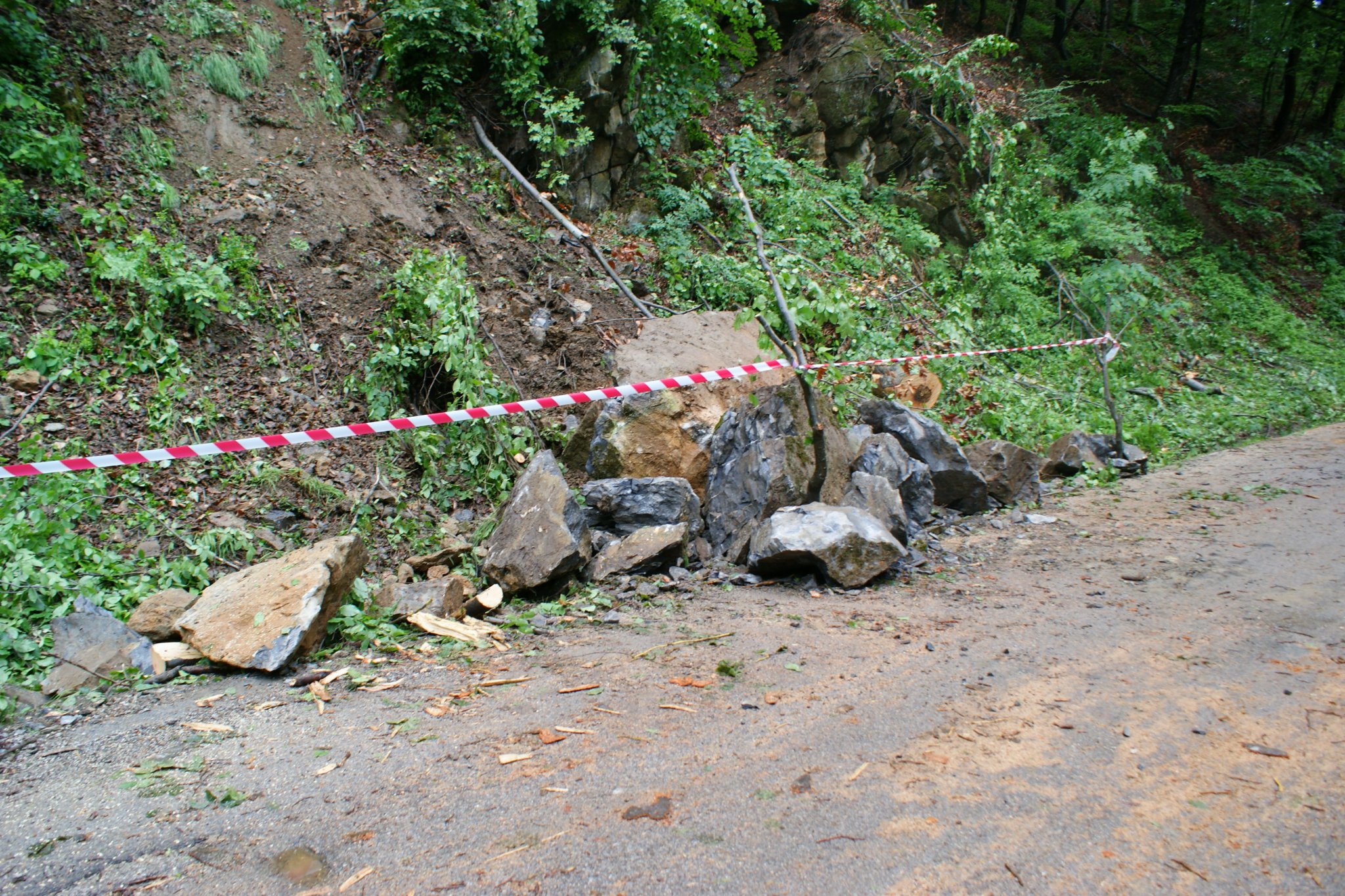 Скали Чарково