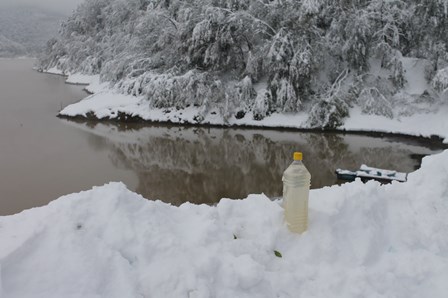 Снимка на новина 3861