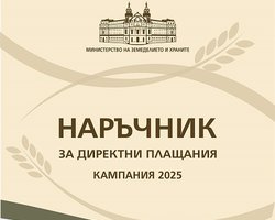 Снимка на новина 13354